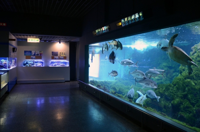 駿河湾の約400種の魚介を飼育