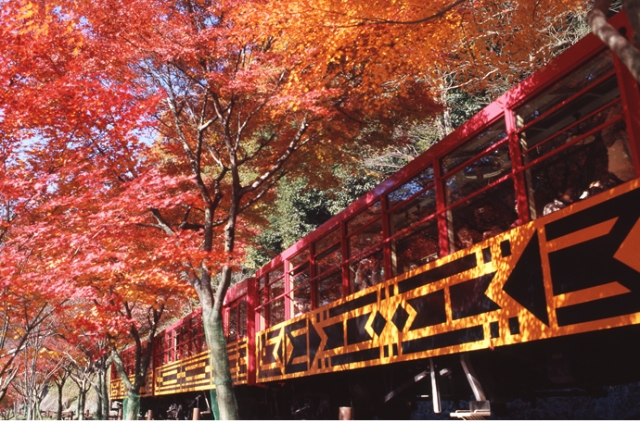 色鮮やかなも紅葉と青い保津川の眺めは絶景です。